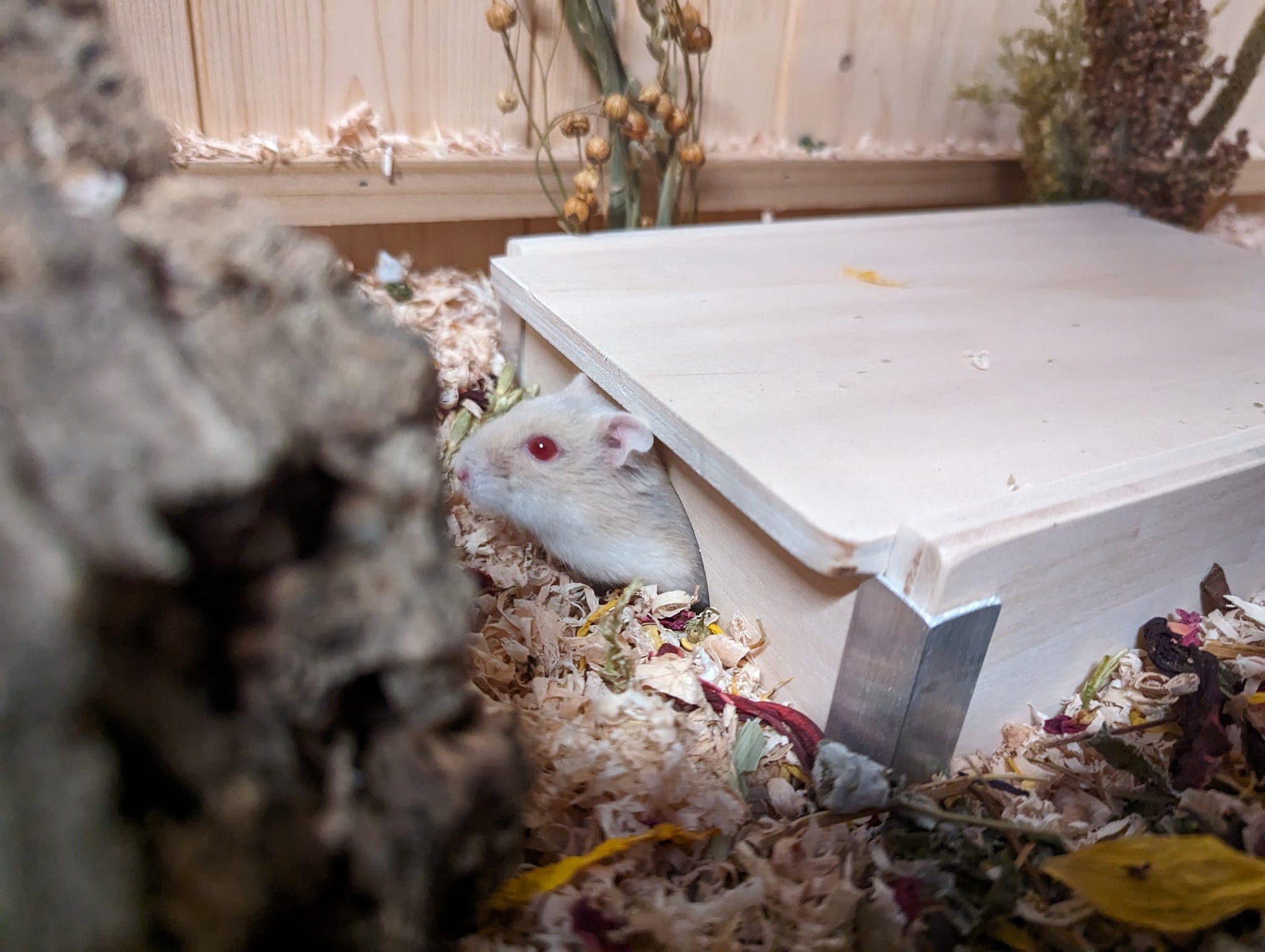Casetta "Multi-Stanza" in Legno per Criceti - Maw's Habitat