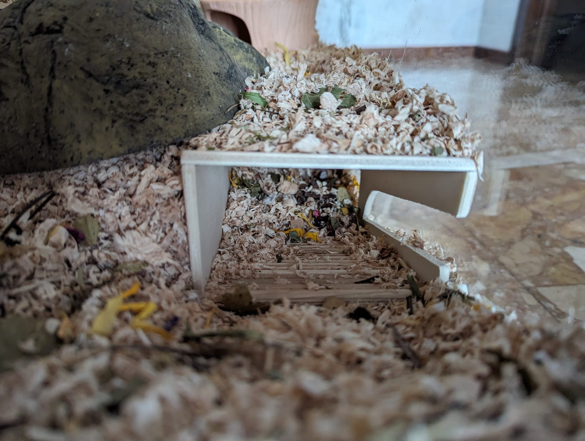 Tana sotterranea - Maw's Habitat